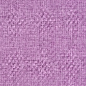 Астер Mini фиолетовый сосна