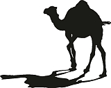 Рисунок Верблюд